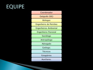Modelo proposta consultoria