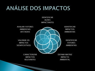 Modelo proposta consultoria