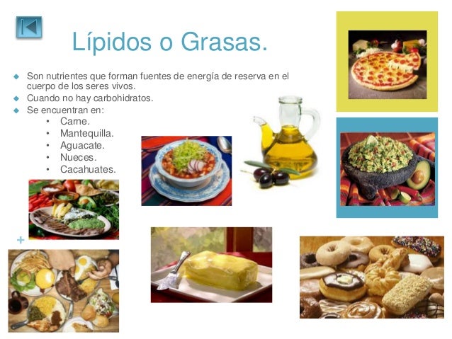 Qué me conviene comer