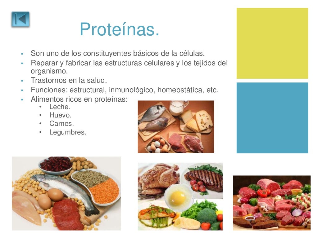 Qué me conviene comer