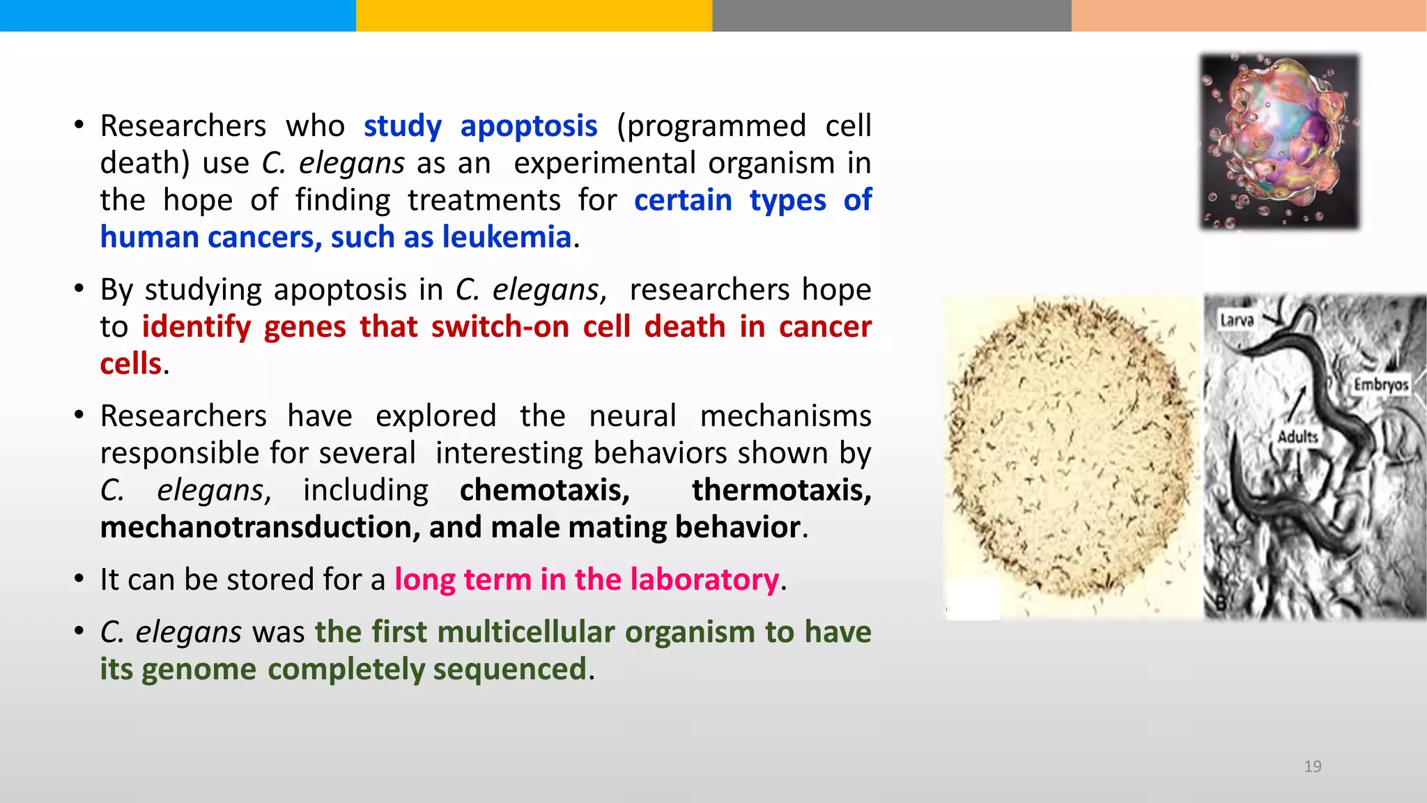 Model organism | PDF