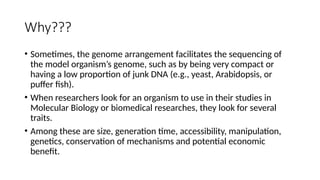 Why???
• Sometimes, the genome arrangement facilitates the sequencing of
the model organism’s genome, such as by being very compact or
having a low proportion of junk DNA (e.g., yeast, Arabidopsis, or
puffer fish).
• When researchers look for an organism to use in their studies in
Molecular Biology or biomedical researches, they look for several
traits.
• Among these are size, generation time, accessibility, manipulation,
genetics, conservation of mechanisms and potential economic
benefit.
 