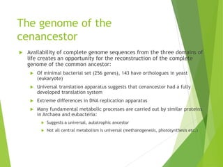The genome of the
cenancestor
 Availability of complete genome sequences from the three domains of
life creates an opportunity for the reconstruction of the complete
genome of the common ancestor:
 Of minimal bacterial set (256 genes), 143 have orthologues in yeast
(eukaryote)
 Universal translation apparatus suggests that cenancestor had a fully
developed translation system
 Extreme differences in DNA replication apparatus
 Many fundamental metabolic processes are carried out by similar proteins
in Archaea and eubacteria:
 Suggests a universal, autotrophic ancestor
 Not all central metabolism is universal (methanogenesis, photosynthesis etc.)
 
