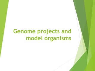 Genome projects and
model organisms
 