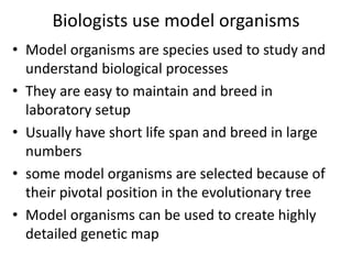 Biologists use model organisms
• Model organisms are species used to study and
understand biological processes
• They are easy to maintain and breed in
laboratory setup
• Usually have short life span and breed in large
numbers
• some model organisms are selected because of
their pivotal position in the evolutionary tree
• Model organisms can be used to create highly
detailed genetic map
 