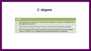 OTHER
1
Nematodes are among the most abundant organisms on Earth, inhabiting soils
throughout the world
2 Most are free living and cause no harm, but a few are important parasites.
3 First introduced to the study of genetics by Sydney Brenner, who formulated
plans in 1962 to use C. elegans for the genetic dissection of behavior.
C. elegans
 