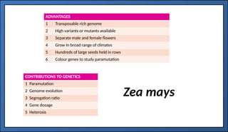 MODEL ORGANISMS 2: EXAMPLES, CONTRIBUTION AND ADVANTAGE | PPTX