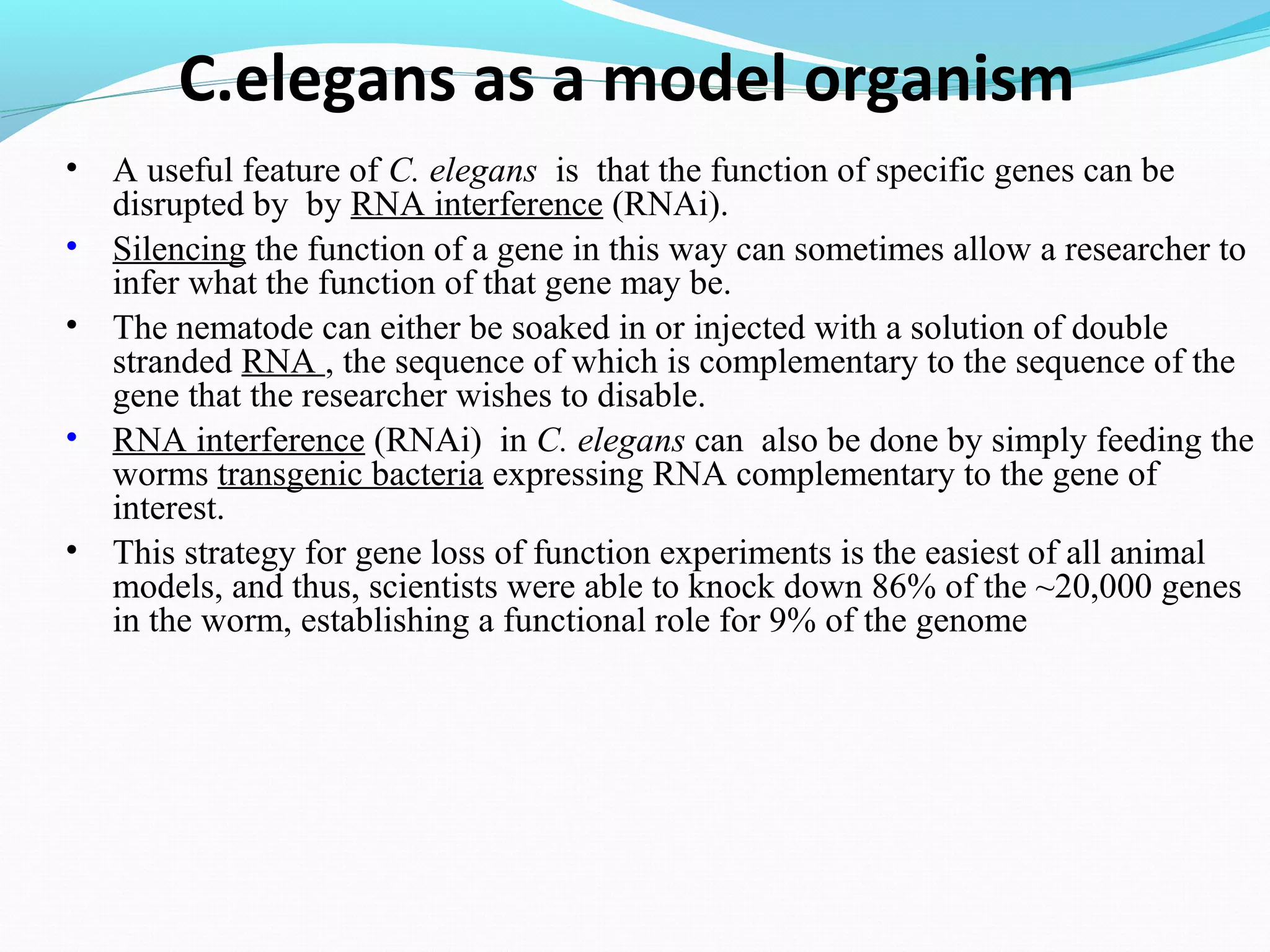 c elegans genome, life cycle and model organism | PPT
