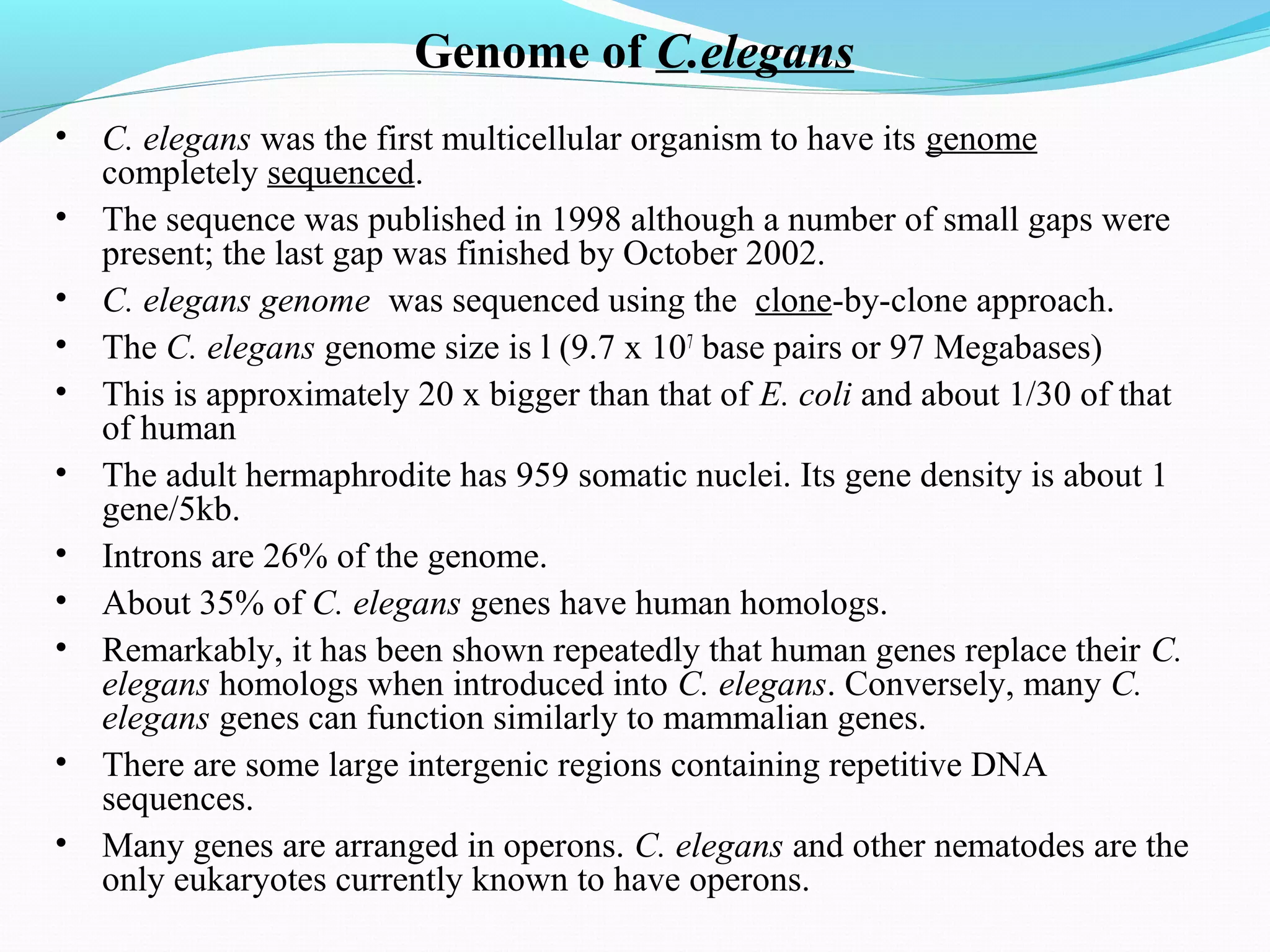 c elegans genome, life cycle and model organism | PPT