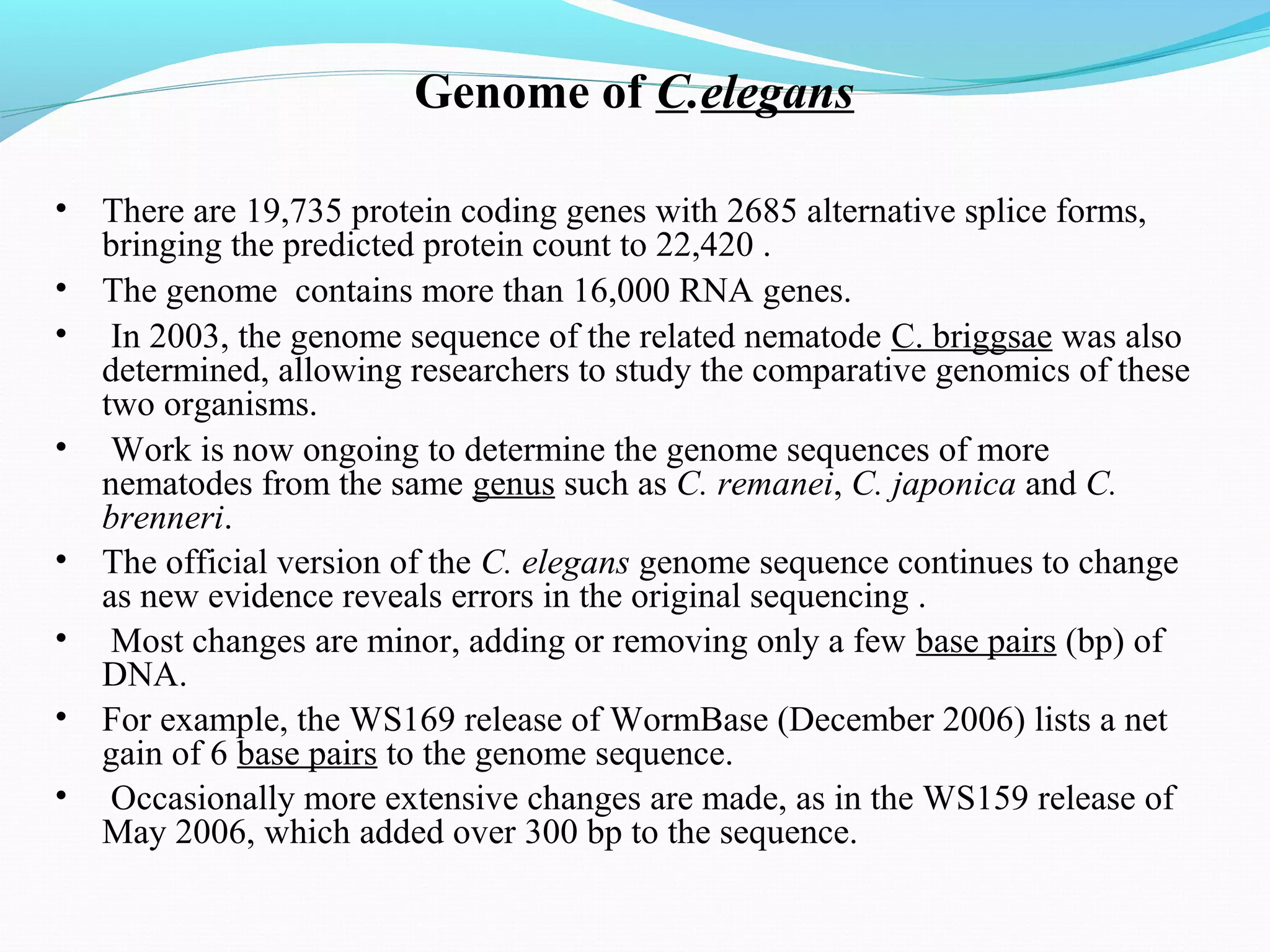 c elegans genome, life cycle and model organism | PPT