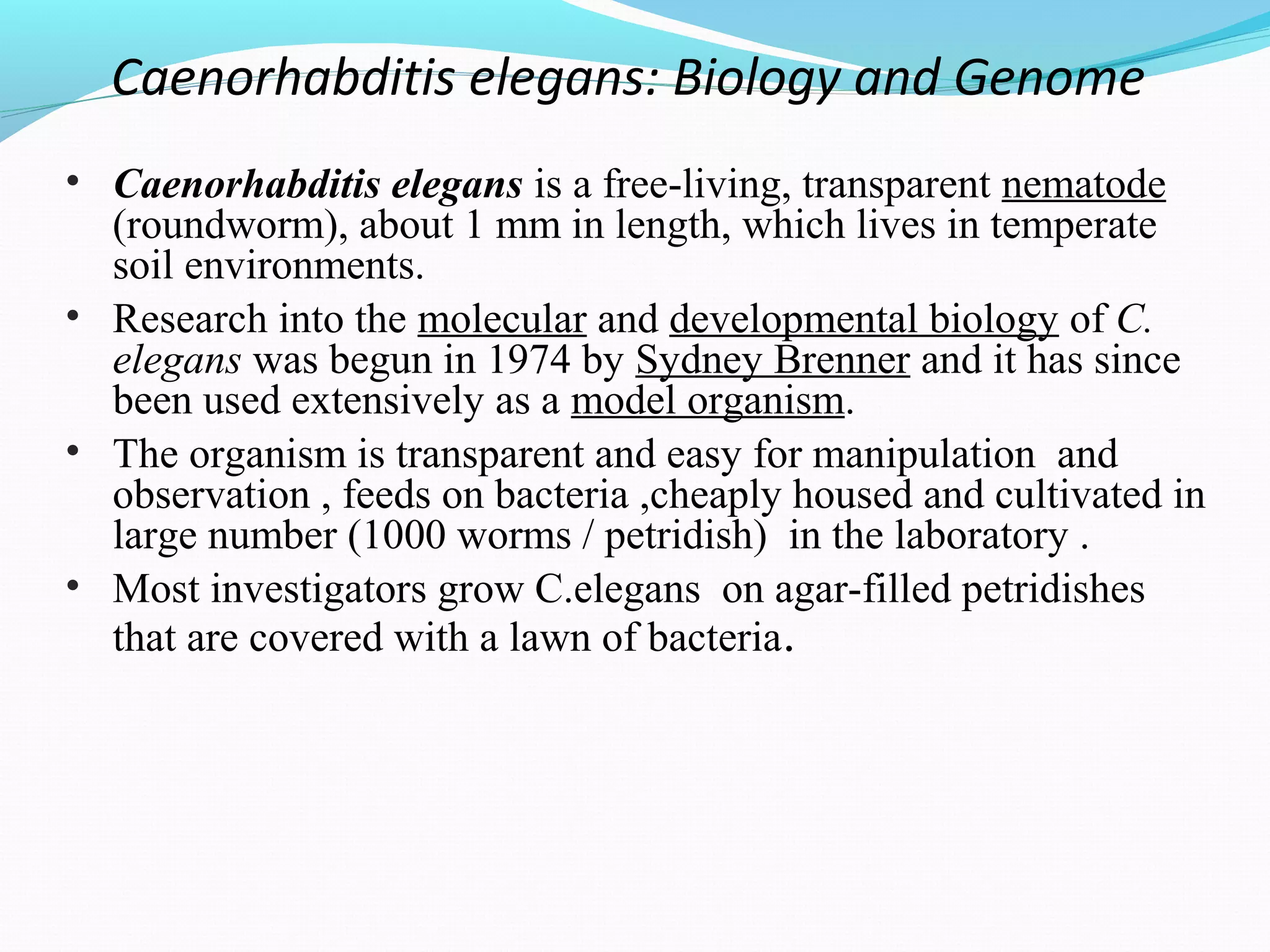 c elegans genome, life cycle and model organism | PPT