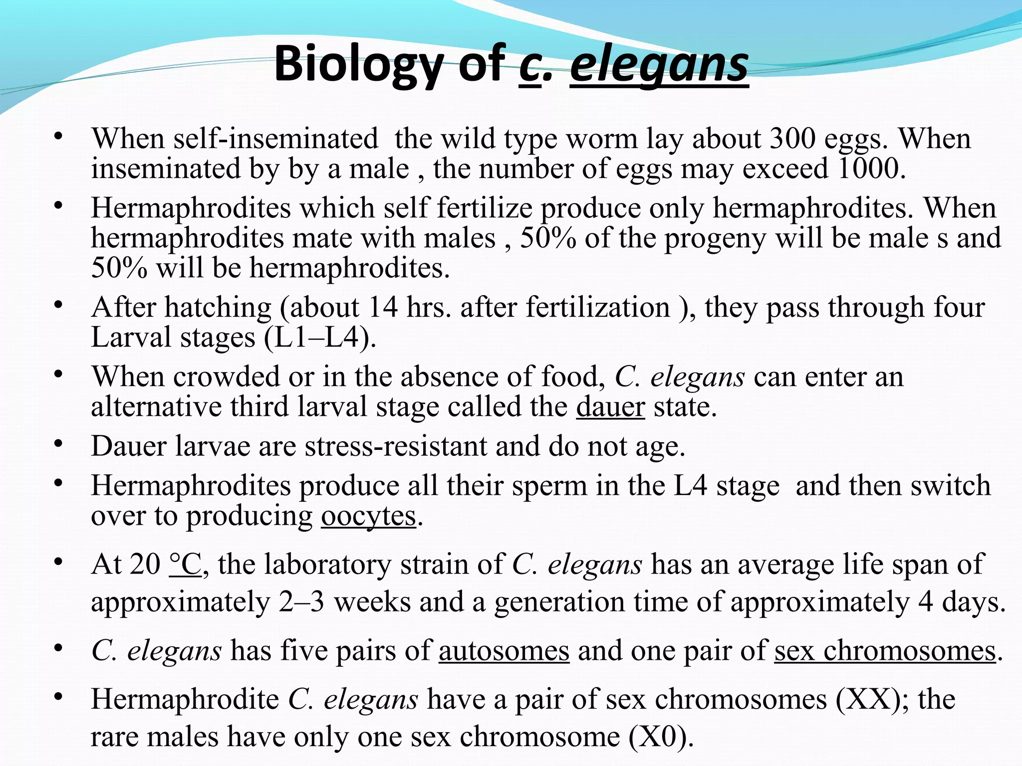 c elegans genome, life cycle and model organism | PPT