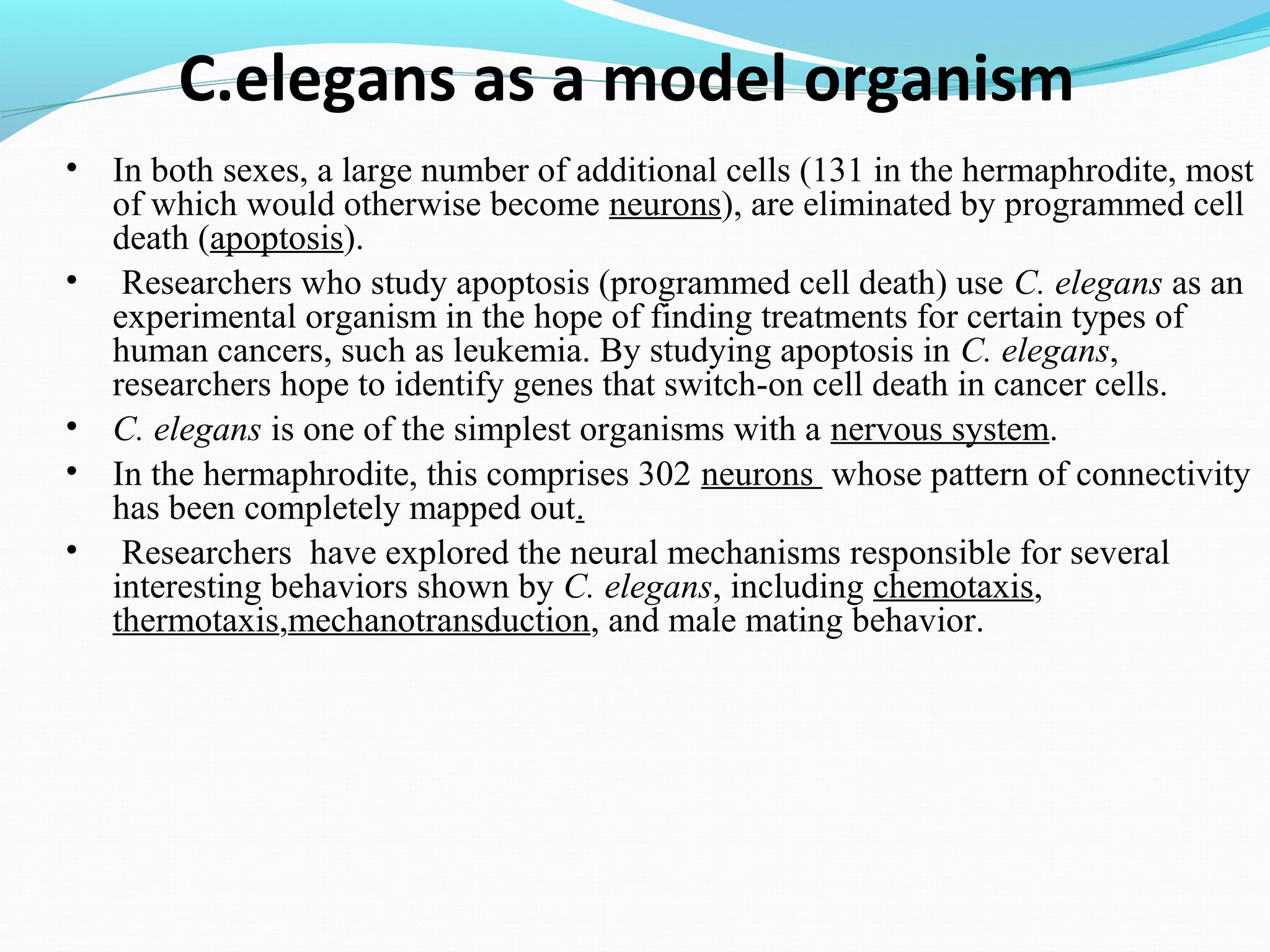 c elegans genome, life cycle and model organism | PPT
