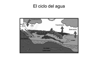 El ciclo del agua