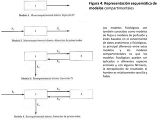 Figura 4: Representación esquemática de
modelos compartimentales



       Los modelos fisiológicos son
       también conocidos como modelos
       de flujos o modelos de perfusión y
       están basados en el conocimiento
       de datos anatómicos y fisiológicos.
       La principal diferencia entre estos
       modelos      y     los     modelos
       compartimentales es que los
       modelos fisiológicos pueden ser
       aplicados a diferentes especies
       animales y, con algunos fármacos,
       la extrapolación de resultados al
       hombre es relativamente sencilla y
       fiable.
 