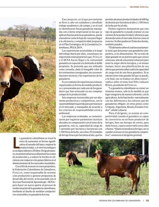 19|	 FEDERACIÓN COLOMBIANA DE GANADEROS
INFORME ESPECIAL
L
a ganadería colombiana se trazó la
meta de aumentar en forma signifi-
cativaeltamañodelhatoymejorarla
productividad, y el nivel tecnológico
enunlapsoinferiora20años.Deigualmane-
ra,encaminóesfuerzosadisminuirloscostos
de producción y a reducir la brecha en efi-
cienciaconrespectoalospaíseslíderesenel
abastecimientodelosmercadosmundiales.
Conelfindeavanzarenestospropósitos,
la Federación Colombiana de Ganaderos,
Fedegán, como responsable de orientar
a los productores y generar propuestas de
desarrollo del sector, se ha asociado con el
ServicioNacionaldeAprendizaje–SENA–
para hacer un nuevo aporte al proceso de
modernizacióndelaganaderíacolombiana,
mediante el diseño de modelos competiti-
vos sostenibles en ganadería bovina.
Este proyecto, en el que previamente
se llevó a cabo un cuidadoso y detallado
trabajo académico y de campo, y en el cual
se identificaron fincas ganaderas maneja-
das con criterio empresarial en las que se
aplicanbuenasprácticasganaderas,puede
entendersecomolahojaderutaparallegar
a la eficiencia y competitividad propuesta
en el Plan Estratégico de la Ganadería Co-
lombiana, PEGA 2019.
Las experiencias acumuladas a lo largo
del trabajo diario por años, constituyen un
importantemanualprácticoque,Fedegán
y el SENA hacen llegar a la comunidad
ganaderaenespecialaladedicadaaldoble
propósito. Se pretende que sea utilizado
como consulta, dado el innegable valor de
lostestimoniosconsignados,lasrecomen-
daciones técnicas y las experiencias de los
ganaderos.
Esunconjuntodeexperienciasexitosas,
organizadasenformademodeloproducti-
vo,ypresentadasporcadaunodelosgana-
deros que han avanzado en ese complejo
campo de la productividad.
Son empresas reconocidas por ser alta-
mente productivas y competitivas, con la
sustentabilidadrequeridaparapermanecer
en el mercado, y manejadas de acuerdo a
los criterios de responsabilidad social y
ambiental.
Las empresas evaluadas, se caracteri-
zaron por registrar parámetros técnicos
elevados en comparación con el resto de la
ganadería, esto es, capacidad de carga de
3 animales por hectárea y lactancias con
1.500litrosdeleche,asícomo,92toneladas
deforrajefrescoporhectáreaalaño,queles
permitealcanzarproductividadesde600kg
dedestetoporhectáreaalañoy1.100litros
de leche por ha al año.
Dichos registros demuestran que este
tipo de ganadería sí puede avanzar en ese
caminodelaproductividadyeficienciaque
demandatantoelmercadointernocomoel
externo.SiellospudieronTodoslosdemás,
también pueden.
“Elelementosobreelcualnecesariamen-
te tiene que descansar una ganadería com-
petitiva, es la alimentación. No se trata de
dejarganadoenunpotreroparaquecrezca
comosea,sinodeconcentraresfuerzospara
tener la mejor oferta forrajera, y al mismo
tiempo, hacer una planificación de esa
ofertaquepermitasabercuáleslacapacidad
de carga real de una finca ganadera. Si se
intenta tener más ganado del que se puede,
a la final, eso se traduce en altos costos”,
replica sobre el tema José Félix Lafaurie
Rivera,presidentedeFedegán.
“Laganaderíacolombianavaatenerun
inmenso avance, solo en la medida en que
logreintegrarsedemaneraeficiente,conla
agricultura.Asílohanhecho-naturalmente
con las diferencias y las culturas que las
ganaderías obligan- en otros países como
Uruguay,Argentina,BrasilyEstadosUni-
dos”, añade Lafaurie.
Para el dirigente, se avanza en com-
petitividad cuando el ganadero es capaz
de convertirse en un buen productor de
forrajes, bien sea forrajes de cortes, para
darlofresco,oparaconservarlocomosilos
ohenos.“Quiennoproduzcaforrajes,nova
apoderavanzarenunaganaderíacompeti-
tiva”, sentencia el dirigente gremial.
 
