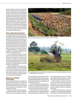21|	 FEDERACIÓN COLOMBIANA DE GANADEROS
INFORME ESPECIAL
praderadekikuyorequiere,comocantidad
mínima,100kilosdeúreaporhectáreapos
pastoreo para mantener una mediana pro-
ducción y calidad de forraje. Sin embargo,
este elemento nutritivo para los forrajes se
puedefijaratmosféricamentepormediode
leguminosascomotréboles,alfalfaylotus,
queenelpaísfijan180,250y300kilosdeni-
trógenoporhectáreayporaño,loquequie-
redecirquealincorporarlasenpasturasde
kikuyo,ellas,nonecesitarándefertilización
nitrogenada, debido a que el nitrógeno
contenido en las heces, adicionado al de la
orina y al fijado, llenan los requerimientos
de nitrógeno de dicha pastura.
Buscar alternativas forrajeras
Lacondicióndepaístropicaldeterminaque
Colombiaproduzcaexcedentesdebiomasa,
sin embargo, una porción importante se
desperdicia. Por factores como el poco co-
nocimientodelosproductores,lascondicio-
nesambientalesdesfavorablesolacarencia
deinfraestructuraadecuada,esmuyescaso
elaprovechamientodeeserecursomediante
sistemas de henificación o ensilaje. Los
pastos conocidos con los nombres: elefan-
te, imperial y kingrás, son potencialmente
utilizables como ensilaje. También lo son:
elmaíz,laremolachaylaavena.
Se recomienda practicar con alguna
frecuencia análisis bromatológicos a los
pastos para identificar carencias nutri-
cionales, y así, aplicar los correctivos que
permitanquelosforrajesaportentodoslos
nutrientesrequeridosparaque,asuvez,los
animalesexpresenplenamentesupotencial
productivo o reproductivo.
Siendoelalimentoconcentrado,quizás,
elrubroqueparticipaconmayorporcentaje
en los costos de producción, es oportuno
buscar alternativas alimenticias como el
maíz, ojalá producido en la propia finca, u
otros recursos locales poco aprovechados
como el matarratón, el guandul.
Velar por la nutrición
de los suelos
Así como la eficiencia de los animales está
indisolublemente ligada a la calidad del
alimentoquerecibe,ladelaspasturasylas
demás fuentes alimenticias está asociada
con la nutrición que se suministre y el ma-
nejo dado a la misma.
Decisiones acerca de prácticas cultura-
les como fertilización, control de malezas,
rotación, incluso la escogencia de las pas-
	Es muy escaso el aprovechamiento de los sistemas de henificación o ensilaje.
	Es posible reducir prácticas como la fertilización remplazándola por materiales orgánicos producidos por la misma
actividad ganadera, como el estiércol.
turasmásindicadas,sólopuedentomarsea
partirdeanálisisdesuelos,yaqueeste,per-
miteidentificardesórdenesnutricionalesde
losforrajes,derivadosdelosdesbalancesen
los nutrientes del suelo.
Lainformacióndedichoanálisispermi-
te definir las estrategias apropiadas para
evitar que el productor incurra en errores,
costosos en términos de tiempo y dinero.
Es posible reducir costos de prácticas
como la fertilización remplazándola por
materialesorgánicosproducidosporlamis-
ma actividad ganadera, como el estiércol,
que de igual manera contribuye a reducir
el riesgo de contaminación de los suelos.
Adicionalmente se pueden combinar
especies gramíneas con leguminosas en
las praderas, que además de contribuir a
reducircostosporsuaportedenitrógenoa
lossuelos,mejoralosvaloresnutricionales
de las dietas.
La renovación de praderas, la rotación
de potreros y el manejo de ellos mediante la
cercaeléctrica,racionalizalaadministración
 
