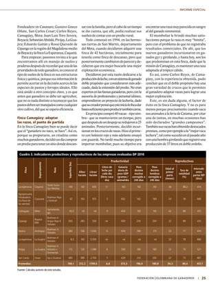 25|	 FEDERACIÓN COLOMBIANA DE GANADEROS
INFORME ESPECIAL
Cuadro 3. Indicadores productivos y reproductivos de las empresas evaluadas DP 2010
Finca
Departamento
Raza
Superficie(ha)
Productividad Reproductivos
Kilos/
ha/año
Litros/
ha/año
Litros de
leche por
cada día
(litros vaca
día)
Ganacia
díaria de
peso GDP
(gramos /
animal/día
Peso
destete
machos
corregido a
240 días
Peso
destete
hembras
corregido a
240 días
Edad al
primer
parto
(meses)
Tasa de
natalidad
(%)
Intervalo
entre
partos IEP
(días)
La esperanza Caquetá
Pardo Suizo-
Gyr-Mestizo
140 ND 830 11 ND ND ND 36 88,2 414
Agropecuaria
Fondeadero
(La Rosa de
los vientos)
Casanare
Brahman Rojo
y Simbrah
42 163 975 5 602 182 169 34 78 468
Camaguey Meta
Gyrholando,
gyr,
43,5 nd nd 9 400 ND ND 42 88 415
Cipango
Boyacá
MM
Brahman X
Angus Rojo X
Holstein
350 283 500 nd 650 230 200 33 89 410
Severa Antioquia
Brahman X
Holstein
280 106 1.000 6 630 180 175 33 77 474
La esperanza La Guajira
Brahman X
Holstein
8,5 ND 5.500 nd nd nd nd 32 78 468
Pivijay La Guajira
Brahman X
Holstein x
Simmental
172 120 1.088 6 530 180 160 32 70 521
San Carlos Cesar Gyr y Guzerat 485 389 2.700 5 629 210 200 32 75 487
Promedios 190,1 212,2 1799,0 6,8 573,5 196,4 180,8 34,3 80,4 457,1
Fuente: Cálculos autores de este estudio.
Fondeadero en Casanare; Gustavo Gneco
Oñate, San Carlos Cesar; Carlos Reyes,
Camagüey, Meta; Juan Luis Toro Severa,
Boyacá;SebastiánAbdalá,Pivijay,LaGua-
jira; Eduardo Gaitán y Rossi Quevedo de
CipangoenlaregióndelMagdalenamedio
deBoyacáylafincaLaEsperanza,Caquetá.
Para empezar, pasemos revista a lo que
encontramos allí en manejo de suelos y
praderasdespuésderecordarqueunadelas
prioridadesdetodoganadero,esconocerel
tipodesuelosdelafincaensusestructuras
físicayquímica,porqueesainformaciónle
permiteacertarenladecisiónacercadelas
especies de pastos y forrajes ideales. Ello
está unido a otro concepto clave, y es que
antes que ganadero se debe ser agricultor,
que no es nada distinto a reconocer que los
pastosdebensermanejadoscomocualquier
otro cultivo, del que se espera eficiencia.
Finca Camagüey: adaptar
las razas, el punto de partida
En la finca Camagüey bien se puede decir
que el “ganadero no nace, se hace”. Así es,
porque su propietario, un citadino como
muchosganaderos,decidióundíacomprar
unpredioparatenerunsitiodondedescan-
sarconlafamilia,peroalcabodeuntiempo
se dio cuenta, que allí, podía realizar sus
sueños de contar con un predio rural.
Todo comenzó en 1994, en las hermo-
sas tierras de San Martín, departamento
del Meta, cuando decidieron adquirir una
finca de 42 hectáreas, inicialmente para
tenerla como finca de descanso, pero que
posteriormentecambiarondepareceryde-
cidieron que era mejor buscarle una mejor
explotación económica.
Decidieron por esta razón dedicarse a la
produccióndeleche,conunsistemadeganado
doble propósito que consideraron más ade-
cuado, dada la extensión del predio. No eran
expertosenlasfaenasganaderas,peroconla
asesoría de profesionales y personal idóneo,
emprendieron un proyecto de lechería, dado
quesucreadorpensóqueesteinicioleibaadar
basessuficientesparaproducirtambiéncarne.
Enprincipiocompró40vacas –tiposim-
bra– que se mantuvieron un tiempo, pero
quedespuésdeundespejeseredujerona25
animales. Posteriormente, decidió incur-
sionarenloscrucesderazas.Hizoelprime-
ro con holstein rojo y más adelante ensayó
con guzerát. No tardó mucho tiempo para
importar mombeliar, pues su objetivo era
encontrarunarazamuyparecidaensangre
al del ganado simmental.
El mombeliar le brindó muchas satis-
facciones porque la raza es muy “bonita”,
pero con el problema de que no registraba
resultados comerciales. De ahí, que los
nuevos ganaderos incursionaron en ga-
nados gyr y girolando, y hasta hoy, son los
que predominan en esta finca, dado que la
misióndeCamagüey,esmantenerunaraza
adaptada al trópico cálido.
Es así, como Carlos Reyes, de Cama-
güey, con la experiencia obtenida, pudo
concluir que en el doble propósito hay una
gran variedad de cruces que le permiten
al ganadero adaptar razas para lograr una
mejor explotación.
Este, es sin duda alguna, el factor de
éxito en la finca Camagüey. Y no es para
menos porque precisamente cuando saca
susanimalesalaferiadeCatama,porcitar
una de tantas, en muchas ocasiones han
sido declarados “grandes campeones”.
Tambiénsusvacashanobtenidodestacados
premios,comoporejemploala“mejorvaca
lechera”,talcomosucedióenelpasadoaño
conunahembragirolandoqueregistróuna
producción de 37 litros en doble ordeño.
 
