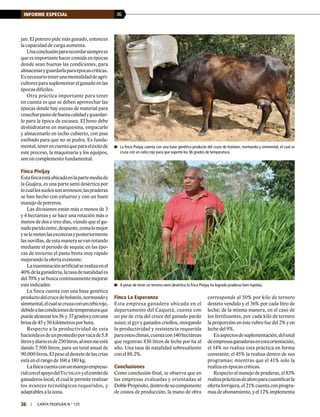 36INFORME ESPECIAL
36 | carta fedegÁn N.° 125
jan. El potrero pide más ganado, entonces
la capacidad de carga aumenta.
Unaconclusiónpararecordarsiemprees
que es importante hacer comida en épocas
donde sean buenas las condiciones, para
almacenaryguardarlaparaépocascríticas.
Esnecesariotenerunamentalidaddeagri-
cultoresparasuplementarelganadoenlas
épocas difíciles.
Otra práctica importante para tener
en cuenta es que se deben aprovechar las
épocas donde hay exceso de material para
cosecharpastodebuenacalidadyguardar-
lo para la época de escasez. El heno debe
deshidratarse en marquesina, empacarlo
y almacenarlo en techo cubierto, con piso
estibado para que no se pudra. Es funda-
mental,tenerencuentaqueparaeléxitode
este proceso, la maquinaria y los equipos,
son un complemento fundamental.
Finca Pivijay
Estafincaestáubicadaenlapartemediade
la Guajira, es una parte semi desértica por
locuallossuelossonarenosos;laspraderas
se han hecho con esfuerzo y con un buen
manejo de potreros.
Las divisiones están más o menos de 3
y 4 hectáreas y se hace una rotación más o
menos de dos o tres días, viendo que el ga-
nadoparidoentre,despunte,comalomejor
yselemetenlasescoterasyposteriormente
lasnovillas,deestamanerasevanrotando
mediante el periodo de sequía; en las épo-
cas de invierno el pasto brota muy rápido
mejorando la oferta existente.
Lainseminaciónartificialserealizaenel
40%delaganadería,latasadenatalidades
del70%ysebuscacontinuamentemejorar
este indicador.
La finca cuenta con una base genética
productodelcrucedeholstein,normandoy
simmental,elcualsecruzaconuncebúrojo,
debidoalascondicionesdetemperaturaque
puedealcanzarlos36 y 37gradosyconuna
brisade45y50kilómetrosporhora.
Respecto a la productividad de esta
haciendaesdeunpromedioporvacade5.8
litrosydiarioesde250litros,almesmeestá
dando 7.500 litros; para un total anual de
90.000litros.Elpesoaldestetedelascrías
está en el rango de 160 a 180 kg.
Lafincacuentaconunmanejoempresa-
rialconelapoyodelTecnigán yelcomitéde
ganaderos local, el cual le permite realizar
los avances tecnológicos requeridos, y
adaptables a la zona.
	A pesar de tener un terreno semi desértico la finca Pivijay ha logrado praderas bien tupidas.
	La finca Pivijay cuenta con una base genética producto del cruce de holstein, normando y simmental, el cual se
cruza con un cebú rojo para que soporte los 36 grados de temperatura.
Finca La Esperanza
Esta empresa ganadera ubicada en el
departamento del Caquetá, cuenta con
un pie de cría del cruce del ganado pardo
suizo, el gyr y ganados criollos, otorgando
la productividad y resistencia requerida
paraestosclimas,cuentacon140hectáreas
que registran 830 litros de leche por ha al
año. Una tasa de natalidad sobresaliente
con el 88.2%.
Conclusiones
Como conclusión final, se observa que en
las empresas evaluadas y orientadas al
DoblePropósito,dentrodesucomponente
de costos de producción, la mano de obra
corresponde al 50% por kilo de ternero
desteto vendido y el 36% por cada litro de
leche; de la misma manera, en el caso de
los fertilizantes, por cada kilo de ternero
la proporción en éste rubro fue del 2% y en
leche del 9%.
Enaspectosdesuplementación,deltotal
deempresasganaderasenestaorientación,
el 14% no realiza esta práctica en forma
constante; el 45% la realiza dentro de sus
programas; mientras que el 41% solo la
realiza en épocas críticas.
Respecto al manejo de praderas, el 83%
realizaprácticasdeaforoparacuantificarla
oferta forrajera, el 21% cuenta con progra-
masdeabonamiento,yel12%implementa
 