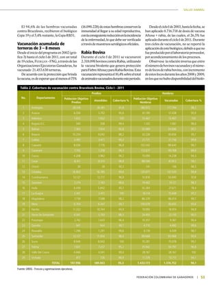 53|	 FEDERACIÓN COLOMBIANA DE GANADEROS
SALUD ANIMAL
Tabla 2. Cobertura de vacunación contra Brucelosis Bovina. Ciclo I - 2011
No. Departamento
Predios Hembras
Población Objetivo
Predios
Atendidos Cobertura %
Población Objetivo
Hembras
Vacunadas Cobertura %
1 Antioquia 28.516 26.181 91,8 180.972 177.794 98,2
2 Arauca 6.056 5.792 95,6 61.195 57.438 93,9
3 Atlántico 1.652 1.652 100 13.467 13.467 100
4 Bogotà D.C. 340 338 99,4 1.102 1.087 98,6
5 Bolivar 7.364 7.054 95,8 55.989 54.696 97,7
6 Boyacá 10.254 9.042 88,2 32.226 30.656 95,1
7 Caldas 3.497 3.471 99,3 21.771 21.736 99,8
8 Caquetá 8.036 7.776 96,8 102.042 98.640 96,7
9 Casanare 7.700 7.258 94,3 112.617 99.768 88,6
10 Cauca 4.208 3.962 94,2 15.093 14.238 94,3
11 Cesar 8.411 8.310 98,8 88.590 87.812 99,1
12 Chocó 30 28 93,3 141 136 96,5
13 Córdoba 16.853 16.785 99,6 137.877 137.543 99,8
14 Cundinamarca 13.127 12.717 96,9 51.816 50.690 97,8
15 Guaviare 2.214 2.183 98,6 19.462 19.121 98,3
16 Huila 6.439 5.842 90,7 35.284 27.671 78,4
17 La Guajira 2.431 2.431 100 16.114 15.668 97,2
18 Magdalena 7.739 7.598 98,2 86.270 86.014 99,7
19 Meta 6.704 6.347 94,7 100.078 93.655 93,6
20 Nariño 11.322 10.744 94,9 19.993 18.974 94,9
21 Norte De Santander 6.561 5.793 88,3 24.455 22.135 90,5
22 Putumayo 2.742 2.643 96,4 10.357 9.361 90,4
23 Quindío 947 944 99,7 4.710 4.692 99,6
24 Risaralda 1.296 1.291 99,6 6.116 6.039 98,7
25 Santander 12.127 11.934 98,4 89.668 83.968 93,6
26 Sucre 8.946 8.943 100 70.281 70.078 99,7
27 Tolima 7.601 7.237 95,2 35.942 34.797 96,8
28 Valle Del Cauca 4.066 4.041 99,4 28.167 28.167 100
29 Vichada 817 726 88,9 11.378 10.711 94,1
TOTAL 197.996 189.063 95,5 1.433.173 1.376.752 96,1
Fuente: URDG - Fedegán y agremiaciones ejecutoras.
El 94,6% de las hembras vacunadas
contra Brucelosis, recibieron el biológico
Cepa 19 y el 5,4% restante, la Cepa RB51.
Vacunación acumulada de
terneras de 3 – 8 meses
Desdeeliniciodelprogramaen2002(grá-
fica 3) hasta el ciclo I de 2011, con un total
de19ciclos,Fedegán -FNG,atravésdelas
Organizaciones Ejecutoras Ganaderas, ha
vacunado 21.453.638 terneras.
De acuerdo con la protección que brinda
lavacuna,esdeesperarquealmenosel75%
(16.090.228)deestashembrasconservenla
inmunidad al llegar a su edad reproductiva,
conlaconsiguientereducciónenlaincidencia
de la enfermedad, lo que debe ser verificado
atravésdemuestreosserológicosoficiales.
Rabia Bovina
Durante el ciclo I de 2011 se vacunaron
2.318.098bovinoscontraRabia,utilizando
la vacuna bivalente que genera protección
paraFiebreAftosayparaRabiaBovina.Esta
vacunaciónrepresentael10,4%sobreeltotal
deanimalesvacunadosduranteesteperiodo.
DesdeelcicloIde2003,hastalafecha,se
han aplicado 8.716.718 de dosis de vacuna
Aftosa + rabia, de las cuales, el 26,5% fue
aplicadoduranteelcicloIde2011.Durante
tres ciclos de vacunación, no se reportó la
aplicacióndeestebiológico,debidoaqueno
fueproducidoporellaboratorioproveedor,
por acondicionamiento de los procesos.
Obsérvese la relación inversa que entre
elnúmerodebovinosvacunadosyelnúme-
rodefocosderabiabovina,conincremento
deestosfocosdurantelosaños2008y2009,
enlosquenohubodisponibilidaddelbioló-
 