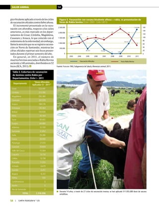 SALUD ANIMAL 54
54 | carta fedegÁn N.° 125
Tabla 3. Cobertura de vacunación
de bovinos contra Rabia por
Departamentos. Ciclo I – 2011
Departamento
“Dosis Aftorabia
Aplicadas CI - 2011”
Cesar 523.441
Córdoba 313.780
Magdalena 293.380
Casanare 267.079
Arauca 188.576
Antioquia 126.364
Bolivar 100.926
Meta 92.164
Sucre 83.932
Guajira 68.880
Atlántico 51.100
Santander 31.852
Huila 29.286
Cauca 28.000
Putumayo 27.074
Guaviare 18.809
Valle del Cauca 15.564
Caquetá 13.710
Caldas 13.158
Risaralda 11.025
Vichada 6.679
Quindío 6.457
Boyacá 6.312
Tolima 550
Cundinamarca 0
Nariño 0
Nte de Santander 0
TOTAL 2.318.098
0
20
40
60
80
100
120
140
160
0
500.000
1.000.000
1.500.000
2.000.000
2.500.000
2003 2004 2005 2006 2007 2008 2009 2010 2011
Figura 5. Vacunación con vacuna bivalente aftosa + rabia, vs presentación de
focos de Rabia bovina (Ciclo I 2003 - Ciclo I 2011)
Vacunación Aftorabia Focos Rabia Bovina
59
65
91
99
86
119
152
117
52
1.515.479
1.660.917
481.814
1.231.054
433.088
5.6050
954.332
2.318.098
Fuente: Fedegán- FNG, Subgerencia de Salud y Bienestar animal. 2011.
	 Durante 14 años, a través de 27 ciclos de vacunación masiva, se han aplicado 511.055.089 dosis de vacuna
antiaftosa.
gicobivalenteaplicadoatravésdelosciclos
devacunaciónoficialescontrafiebreaftosa.
El incrementó presentado en la vacu-
nación con aftorabia, respecto a los ciclos
anteriores, es más marcado en los depar-
tamentos de Cesar, Córdoba, Magdalena,
Casanare y Arauca, lo que coincide con el
endemismodelaenfermedad;sinembargo,
llamalaatenciónquenoseregistravacuna-
ción en Norte de Santander, mientras las
cifras oficiales reportan seis focos presen-
tados durante el primer semestre del año.
En general, en 2011, el número de
muertesbovinasasociadasaRabiaBovina
asciendea148animales,distribuidosen52
focos (ICA, 2011).
 