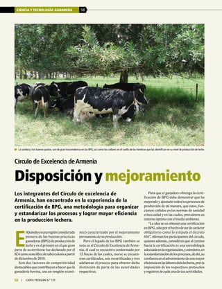 CIENCIA Y TECNOLOGÍA GANADERA 58
58 | carta fedegÁn N.° 125
Para que el ganadero obtenga la certi-
ficación de BPG debe demostrar que ha
mejorado y ajustado todos los procesos de
producción de tal manera, que estos, fun-
cionen ceñidos en las normas de sanidad
e inocuidad y en las cuales, prevalezca un
entorno óptimo con el medio ambiente.
“La idea no es obtener una certificación
enBPG,sóloporelhechodeserdecarácter
obligatorio como lo estipula el decreto
616”, afirman los participantes del círculo,
quienes además, consideran que el camino
hacia la certificación es una metodología
adecuadaenlaorganización,yasimismo,en
laestandarizacióndelosprocesos,deahí,su
confianzaeneladvenimientodeunamayor
eficienciaenlaslaboresdelalechería,previa
imposición de los respectivos protocolos
yregistrosdecadaunadesusactividades.
Círculo de Excelencia deArmenia
Disposición y mejoramiento
Los integrantes del Círculo de excelencia de
Armenia, han encontrado en la experiencia de la
certificación de BPG, una metodología para organizar
y estandarizar los procesos y lograr mayor eficiencia
en la producción lechera.
	 La sombra y los buenos pastos, son de gran trascendencia en las BPG, así como los collares en el cuello de las hembras que las identifican en su nivel de producción de leche.
E
lQuindíoesunaregiónconsiderada
pionera de las buenas prácticas
ganaderas(BPG)deproducciónde
leche y es el primero en el que gran
parte de su territorio fue declarado por el
ICAcomozonalibredetuberculosisapartir
de diciembre de 2010.
Son dos factores de competitividad
destacablesquecontribuyenahacerquela
ganadería bovina, sea un renglón econó-
mico caracterizado por el mejoramiento
permanente de su producción.
Pero el legado de las BPG también se
nota en el Círculo de Excelencia de Arme-
nia, el cual se encuentra conformado por
12 fincas de las cuales, nueve se encuen-
tran certificadas, seis recertificadas y tres
adelantan el proceso para obtener dicha
distinción de parte de las autoridades
respectivas.
 