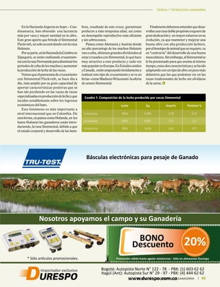 CIENCIA Y TECNOLOGÍA GANADERA
65|	 FEDERACIÓN COLOMBIANA DE GANADEROS
CIENCIA Y TECNOLOGÍA GANADERA
65|	 FEDERACIÓN COLOMBIANA DE GANADEROS
EnlaHaciendaArgovia en Sopo– Cun-
dinamarca, han obtenido una lactancia
más por vaca y mayor sanidad en la ubre.
Este gran aporte que brinda el Simmental
Fleckvieh,nosoloseestádandoconlaraza
Holstein.
Porsuparte,enlaHaciendalaCumbreen
Zipaquirá, se están realizando cruzamien-
tosconlarazaNormandoparadisminuirlos
periodosdecebadelosmachosyaumentar
laproduccióndelechedelasvacas.
Vemosqueelpanoramadecruzamiento
con Simmental Fleckvieh, se hace día a
día, más amplio por su gran capacidad de
aportar características positivas que se
han ido perdiendo en las vacas de razas
especializadasenproduccióndelecheyque
inciden notablemente sobre los ingresos
económicos del hato.
Este fenómeno es más importante a
nivel internacional que en Colombia. De
estaforma,enpaísescomoHolanda,en los
hatos Holstein los ganaderos están intro-
duciendo, la raza Simmental, debido a que
el estado corporal y desarrollo de las hem-
Cuadro 1. Composición de la leche producida por vacas Simmental
Leche Kg Grasa%  Proteína %
1a lactancia. 305d 8.493 3,78 3,32
2a lactancia. 305d 8.881 3,75 3,52
3a lactancia. 305d 9.630 3,63 3,51
bras, resultado de este cruce, garantizan
preñeces a más temprana edad, así como
un desempeño reproductivo más eficiente
y sin sobrecostos.
Países como Alemania y Austria donde
un alto porcentaje de los machos Holstein
vanaceba,obtienengrandesdividendosal
estarcruzadosconSimmental,loquehace
muy atractivo a este producto y cada vez
máspopularenEuropa.EnEstadosunidos
yCanadá, estánempezandotímidamentea
realizar este tipo de cruzamiento y se ve en
ferias-comoMadison-Wisconsin-laoferta
de semen Simmental.
Finalmentedebemosentenderquedesa-
rrollarunarazadoblepropósitorequierede
grandedicacióny unmayoresfuerzoensu
evolución, ya que mantener y mejorar una
buena ubre con alta producción lechera,
porelfenotipodeanimalqueserequiere,va
en“contravía”deldesarrollodeunabuena
musculatura.Sinembargo,alSimmentalse
le ha presionado para que asuma al mismo
tiempo,estasdoscaracterísticasysehaido
adaptandoconuntipodeubreunpocomás
delantera que las que podemos ver en las
razas tradicionales de leche sin olvidarse
de la carne.
 