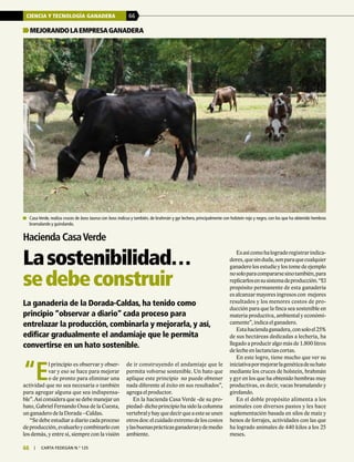 CIENCIA Y TECNOLOGÍA GANADERA 66
66 | carta fedegÁn N.° 125
La ganadería de la Dorada-Caldas, ha tenido como
principio “observar a diario” cada proceso para
entrelazar la producción, combinarla y mejorarla, y así,
edificar gradualmente el andamiaje que le permita
convertirse en un hato sostenible.
Mejorandolaempresaganadera
Hacienda CasaVerde
Lasostenibilidad…
sedebeconstruir
de ir construyendo el andamiaje que le
permita volverse sostenible. Un hato que
aplique este principio no puede obtener
nada diferente al éxito en sus resultados”,
agrega el productor.
En la hacienda Casa Verde -de su pro-
piedad- dicho principio ha sido la columna
vertebralyhayquedecirqueaesteseunen
otros dos: el cuidado extremo de los costos
ylasbuenasprácticasganaderasydemedio
ambiente.
Esasícomohalogradoregistrarindica-
dores,quesinduda,sonparaquecualquier
ganadero los estudie y los tome de ejemplo
nosoloparacompararsesinotambién,para
replicarlosensusistemadeproducción.“El
propósito permanente de esta ganadería
es alcanzar mayores ingresos con mejores
resultados y los menores costos de pro-
ducción para que la finca sea sostenible en
materia productiva, ambiental y económi-
camente”, indica el ganadero.
Estahaciendaganadera,consoloel25%
de sus hectáreas dedicadas a lechería, ha
llegado a producir algo más de 1.800 litros
de leche en lactancias cortas.
En este logro, tiene mucho que ver su
iniciativapormejorarlagenéticadesuhato
mediante los cruces de holstein, brahmán
y gyr en los que ha obtenido hembras muy
productivas, es decir, vacas bramalando y
girolando.
En el doble propósito alimenta a los
animales con diversos pastos y les hace
suplementación basada en silos de maíz y
henos de forrajes, actividades con las que
ha logrado animales de 440 kilos a los 25
meses.
“E
l principio es observar y obser-
var y eso se hace para mejorar
o de pronto para eliminar una
actividad que no sea necesaria o también
para agregar alguna que sea indispensa-
ble”. Así considera que se debe manejar un
hato, Gabriel Fernando Ossa de la Cuesta,
un ganadero de la Dorada –Caldas.
“Se debe estudiar a diario cada proceso
deproducción,evaluarloycombinarlocon
los demás, y entre sí, siempre con la visión
	 Casa Verde, realiza cruces de boss taurus con boss indicus y también, de brahmán y gyr lechero, principalmente con holstein rojo y negro, con los que ha obtenido hembras
bramalando y guirolando.
 