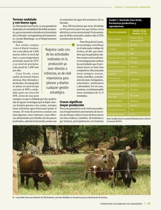 CIENCIA Y TECNOLOGÍA GANADERA
67|	 FEDERACIÓN COLOMBIANA DE GANADEROS
CIENCIA Y TECNOLOGÍA GANADERA
67|	 FEDERACIÓN COLOMBIANA DE GANADEROS
Terreno ondulado
y con buena agua
La HaciendaCasaVerde,esunaganadería
dedicadaalamodalidaddeldoblepropósi-
to,queseencuentrasituadaenelmunicipio
deLaDorada-corregimientodeGuarinoci-
to, vereda Mandinga- en el Departamento
de Caldas.
Sus verdes campos
viven el diario transcu-
rrir a una altura de 1.850
metros sobre el nivel del
mar y a una temperatura
promedio anual de 32°C
y un nivel de precipita-
ción anual de 1.600 mm
por año.
Casa Verde, tiene
suelos de textura franco
arenosa, bien drenados y
profundos.Sutopografía
es plana en porcentaje
cercano al 40% y ondu-
lada suave en cerca del
60%. Goza de una gran
ventaja y es que es bañada por dos quebra-
das de aguas veraniegas que le dejan char-
cos hondos gracias a los cuales, siempre
tiene suficiente agua hasta para pasar el
verano. El resto de potreros cuentan con
siete lagunas, cinco represas y siete alber-
cas alimentadas por bombeo de dos pozos
profundos,ademáslahaciendacuentacon
el suministro de agua del acueducto de La
Dorada.
Son 240 hectáreas que tiene divididas
en 44 potreros para los que utiliza cerca
eléctricaycercaconvencional.Esdeanotar,
que de dicha extensión, dedica solo el 25%
a producción de leche.
ParaOssadelaCuesta,
la tecnología contribuye
en el adecuado trabajo de
la finca, de ahí, que consi-
derequelosganaderosde-
bencontarconlasuficien-
tetecnologíapararealizar
las actividades que le per-
mitan hacer su hato más
competitivo.Recomienda
tener siempre: tractor,
arado,rastrillos,cosecha-
dorademaíz,fumigadora,
subsolador, sembradora
y abonadora. En mi caso,
sostiene,esindispensable
tener remolques de 2 y 4
toneladas.
Cruces significan
mayor producción
Paraestaganaderíaesdevitaltrascenden-
cia el mejoramiento permanente de las ra-
zasdeahíquerealicecrucesdebosstaurus
con boss indicus y también, de brahmán y
gyr lechero, principalmente con holstein
Cuadro 1. Hacienda Casa Verde.
Parámetros productivos y
reproductivos
Peso al nacimiento
Machos 30 kg
Hembras 25 kg
Peso al destete
Machos 165 kg
Hembras160 kg
Edad al destete 295 días
Natalidad 76%
Vacas en Producción 68%
Intervalo entre partos 458 días
Días abiertos 123 días
Duración de lactancia 290 días
Producción leche/
vaca/día
6.0 litros
Producción por
lactancia (305 días)
1.830 litros
Edad al primer servicio 29 meses
Edad al primer parto 38 meses
Ganancia diaria de
peso ceba
565 gr/día
Edad al sacrificio 26 meses
Peso al sacrificio 440 kgs
Mortalidad neonatal 2 %
Mortalidad adultos 0.5 %
Nota:Se debe tener en cuenta el fenómeno de La niña en
el semestre B/2010.
	 Casa Verde tiene una extensión de 240 hectáreas y las tiene divididas en 44 potreros para la alimentación de bovinos.
Registrar cada una
de las actividades
realizadas en la
producción ya
sean directas o
indirectas, es de vital
importancia para
planear y diseñar
cualquier gestión
estratégica.
 