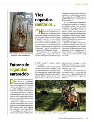 BITÁCORA DE GESTIÓN
11|	 FEDERACIÓN COLOMBIANA DE GANADEROS
“H
oy no podemos exportar
porque no cumplimos con los
requisitos sanitarios exigidos
por las autoridades canadienses y porque
este país no ha reconocido nuestro estatus
de ‘país libre de aftosa con vacunación’,
pero no porque no quiera sino por culpa
de nuestras autoridades sanitarias que no
han sido diligentes en el cumplimiento de
trámites requeridos por las autoridades
canadienses”, afirmó el presidente de
Fedegán, José Félix Lafaurie Rivera.
Para el dirigente de los ganaderos, el
problema es que no han venido a inspec-
cionar nuestras plantas de beneficio por
Entornode
seguridad
enrarecido
D
esde septiembre del año pasado
hasta julio de 2011, la inseguri-
dad viene apoderándose de los
camposenformatrágica.Nosdevuelve
a épocas que nadie quiere recordar.
En ese lapso 38 ganaderos han sido
asesinados. El balance también indica
43 secuestros y 80 casos de extorsión.
Infortunadamente son cifras que no
muestrantodalarealidad,puesmuchos
casos son mantenidos en el anonimato
por las propias víctimas.
La Encuesta de Opinión Ganadera
EOGAN-IITrimestrede2011,yavenía
reflejandoladinámicaquehaadquirido
el deterioro del orden público. Hasta
antes del primer trimestre de 2010,
1 de cada 10 ganaderos advertía ese
deterioro, y al finalizar el II trimestre
Ylos
requisitos
sanitarios…
	 LasautoridadessanitariasdeCanadánohanvenido
a inspeccionar nuestras plantas de beneficio.
culpa de Invima, a quien el gobierno
canadiense le solicitó, hace más de un
año,eldiligenciamientodelformulario
preliminar de visita, y aún ésta entidad
no ha respondido.
El TLC con Canadá se constituye en
unagranoportunidadparalaganadería
colombiana, gracias a una favorable
negociación en la que Colombia obtuvo,
a diferencia de los TLC con Estados
UnidosyEuropa,accesoinmediatoaese
mercadosinelpagodearanceles,ycupos
limitadosdeimportacionesque,además,
seránadministradasporColombia.Con
Estados Unidos y Europa fue una aper-
turatotal,pordecirlomenos.
Estasituaciónobligaaunarespuesta
delGobiernoalosganaderospeseaque
es un problema heredado por la actual
administración.Respuestaquedeman-
da acciones de sus entidades porque el
mismo Gobierno es quien ha puesto al
sectorcomounadelaslocomotorasdel
desarrollo.
de 2011, 7 de cada 10 ganaderos señalan
tal percepción.
Frente a estos hechos no cabe duda de
la oleada de criminalidad de las Farc. “Las
Farc deben ser juzgadas con igual o mayor
durezaparaeliminarsucapacidaddedaño
alasociedad.Senecesita,cerotolerancia”,
señala José Félix Lafaurie Rivera, presi-
dente de Fedegán. Recordó que en otros
lugares también despliegan su acción
las bandas criminales, siendo especial-
mente crítica la situación de Córdoba,
Urabá y el Bajo Cauca.
El abigeato es otro delito que co-
mienza a rebrotar en varias zonas del
país, como en la Costa Atlántica. En
el lapso señalado se han registrado
68 casos.
	 Uno de cada 10 ganaderos advierte el deterioro de la seguridad.
 