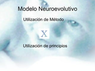 Modelo Neuroevolutivo Utilización de Método Utilización de principios 