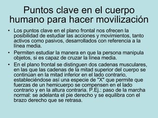 Puntos clave en el cuerpo humano para hacer movilización Los puntos clave en el plano frontal nos ofrecen la posibilidad de estudiar las acciones y movimientos, tanto activos como pasivos, desarrollados con referencia a la línea media. Permiten estudiar la manera en que la persona manipula objetos, si es capaz de cruzar la línea media. En el plano frontal se distinguen dos cadenas musculares, en las que las cadenas de la mitad superior del cuerpo se continúan en la mitad inferior en el lado contrario, estableciéndose así una especie de "X" que permite que fuerzas de un hemicuerpo se compensen en el lado contrario y en la altura contraria. P.Ej.: paso de la marcha normal: se adelanta el pie derecho y se equilibra con el brazo derecho que se retrasa.  