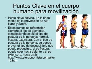 Puntos Clave en el cuerpo humano para movilización Punto clave pélvico. En la línea media de la proyección de Ala Ilíaca y Sacro. Estos puntos se referencian siempre al eje de gravedad, estableciéndose así el tipo de postura de la persona: normal, flexora, extensora. Con el tipo de postura de la persona, se puede prever el tipo de desequilibrio que puede producirse, si es flexora, puede caer hacia delante y si es extensora, hacia atrás.  http://www.elergonomista.com/aitor10.htm 