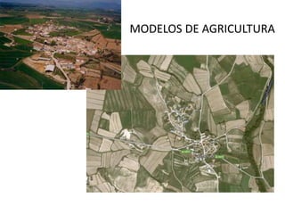 MODELOS DE AGRICULTURA
 