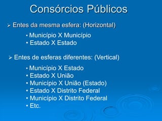 O patrimônio econômico público é sobretudo estatal, embora cresça a importância da res publica não estatal.16