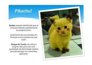 Pikachu?

Roedor amarelo eletrificado que se
 comunica falando repetidamente
       seu próprio nome.

 Geralmente são encontrados em
 florestas ou em tomadas de suas
               casas.

  Choque do Trovão: ele utiliza o
   próprio rabo para criar uma
quantidade de eletricidade estática
 para descarregar em criancinhas
            japonesas.
 