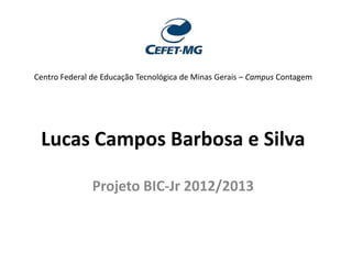 Centro Federal de Educação Tecnológica de Minas Gerais – Campus Contagem

Lucas Campos Barbosa e Silva
Projeto BIC-Jr 2012/2013

 