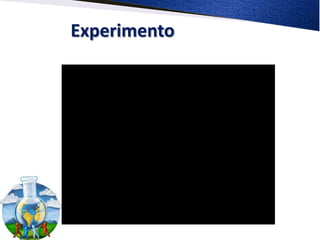 Experimento
 