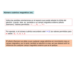 Número cuántico magnético (m).



  Indica las posibles orientaciones en el espacio que puede adoptar la órbita del
  electrón cuando éste es sometido a un campo magnético externo (efecto
  Zeemann). Valores permitidos: - l, ..., 0, ..., + l



  Por ejemplo, si el número cuántico secundario vale l = 2, los valores permitidos para
  m serán: -2, -1, 0, 1, 2



  El efecto Zeemann se debe a que cualquier carga eléctrica en movimiento crea un
  campo magnético; por lo tanto, también el electrón lo crea, así que deberá sufrir la
  influencia de cualquier campo magnético externo que se le aplique.
 