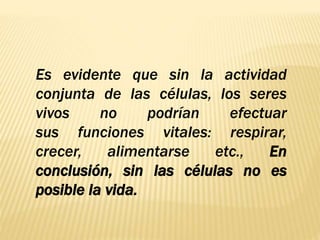 Es evidente que sin la actividad 
conjunta de las células, los seres 
vivos no podrían efectuar 
sus funciones vitales: respirar, 
crecer, alimentarse etc., En 
conclusión, sin las células no es 
posible la vida. 
 