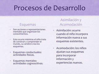 Procesos de Desarrollo
Esquemas
• Son acciones o representaciones
mentales que organizan los
conocimientos.
• Esto ocurre mientras el niño trata
de construir y comprender el
mundo, su cerebro crea los
esquemas.
• Esquemas conductuales:
actividades físicas.
• Esquemas mentales:
actividades cognoscitivas.
Asimilación y
Acomodación
• Asimilación: ocurre
cuando el niño incorpora
información nueva a sus
esquemas existentes.
• Acomodación: los niños
ajustan sus esquemas
para incorporar
información y
experiencias nuevas.
 