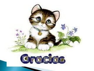 Modelos curriculares  3.grisel