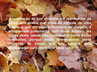 A indexação da cor consiste em representar as cores dos pixéis por meio de índices de uma tabela, e que em alguns formatos de imagem, é armazenada juntamente num único ficheiro. As cores desta tabela são conhecidas como cores indexadas, porque estão referenciadas pelos números de índice que são usados pelo computador para identificar cada cor.