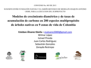 CONVENIO No. 003 DE 2013
SUSCRITO ENTRE FUNDACIÓN NATURA Y EL JARDÍN BOTÁNICO DE MEDELLÍN JOAQUIN ANTONIO
URIBE, PARA LA EJECUCION DEL SUBPROYECTO
Modelos de crecimiento diamétrico y de tasas de
acumulación de carbono en 200 especies multipropósito
de árboles nativos en 9 zonas de vida de Colombia
Esteban Álvarez Dávila – esalvarez3000@gmail.com
Wilmar López
Ismael Pineda
Juan Carlos Rodríguez
Sebastián Gonzáles
Zorayda Restrepo
 