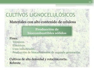 11




CULTIVOS LIGNOCELULÓSICOS
 Materiales con alto contenido de celulosa

                     Producción de
                 biocombustibles sólidos
• Fines:
  ▫   Térmicos.
  ▫   Eléctricos.
  ▫   Usos industriales.
  ▫   Producción de biocarburantes de segunda generación.

• Cultivos de alta densidad y rotación corta.
• Rebrote
 