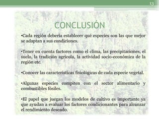 13




                 CONCLUSIÓN
•Cada región debería establecer qué especies son las que mejor
se adaptan a sus condiciones.

•Tener en cuenta factores como el clima, las precipitaciones, el
suelo, la tradición agrícola, la actividad socio-económica de la
región etc.

•Conocer las características fisiológicas de cada especie vegetal.

•Algunas especies compiten con el sector alimentario y
combustibles fósiles.

•El papel que juegan los modelos de cultivo es importante ya
que ayudan a evaluar los factores condicionantes para alcanzar
el rendimiento deseado.
 