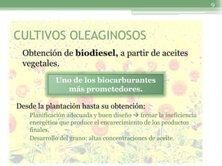 9




CULTIVOS OLEAGINOSOS
 Obtención de biodiesel, a partir de aceites
 vegetales.
             Uno de los biocarburantes
               más prometedores.

Desde la plantación hasta su obtención:
  ▫ Planificación adecuada y buen diseño  frenar la ineficiencia
    energética que produce el encarecimiento de los productos
    finales.
  ▫ Desarrollo del grano: altas concentraciones de aceite.
 