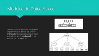 Modelos de Datos Físicos
Son estructuras de datos a bajo nivel
implementadas dentro del propio
manejador. Ejemplos típicos de estas
estructuras son los Árboles B+, las
estructuras de Hash, etc.
 