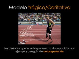 Modelo trágico/Caritativo




           Oscar Pistorius,
           atleta Australiano




Las personas que se sobreponen a la discapacidad son
         ejemplos a seguir de autosuperación
 