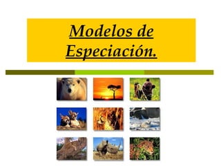 Modelos de Especiación. 